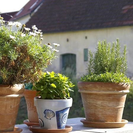 Ferienwohnung Sachsenberg Keine Monteure Hadersdorf am Kamp Екстериор снимка