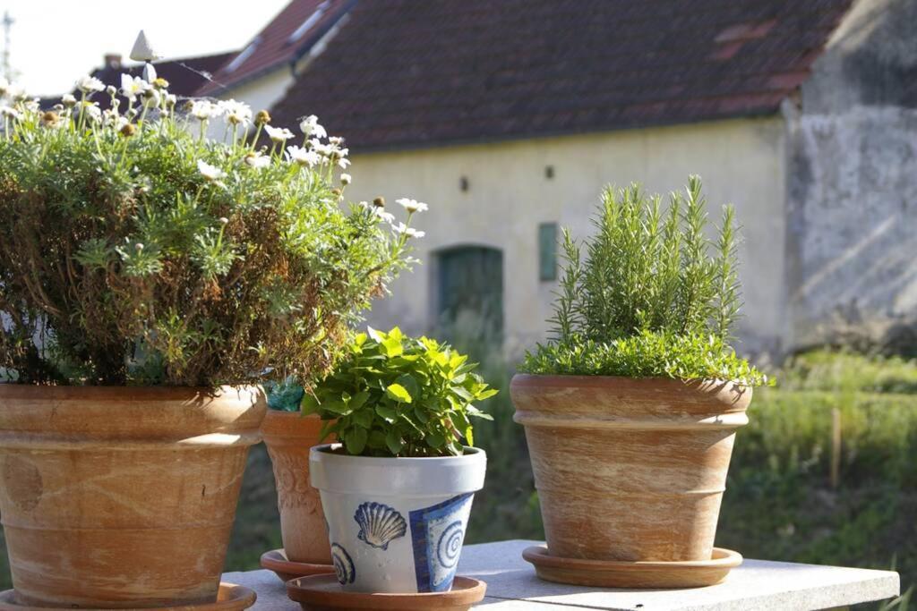 Ferienwohnung Sachsenberg Keine Monteure Hadersdorf am Kamp Екстериор снимка
